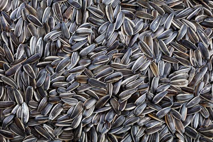 Four years of horrors which must never be normalised