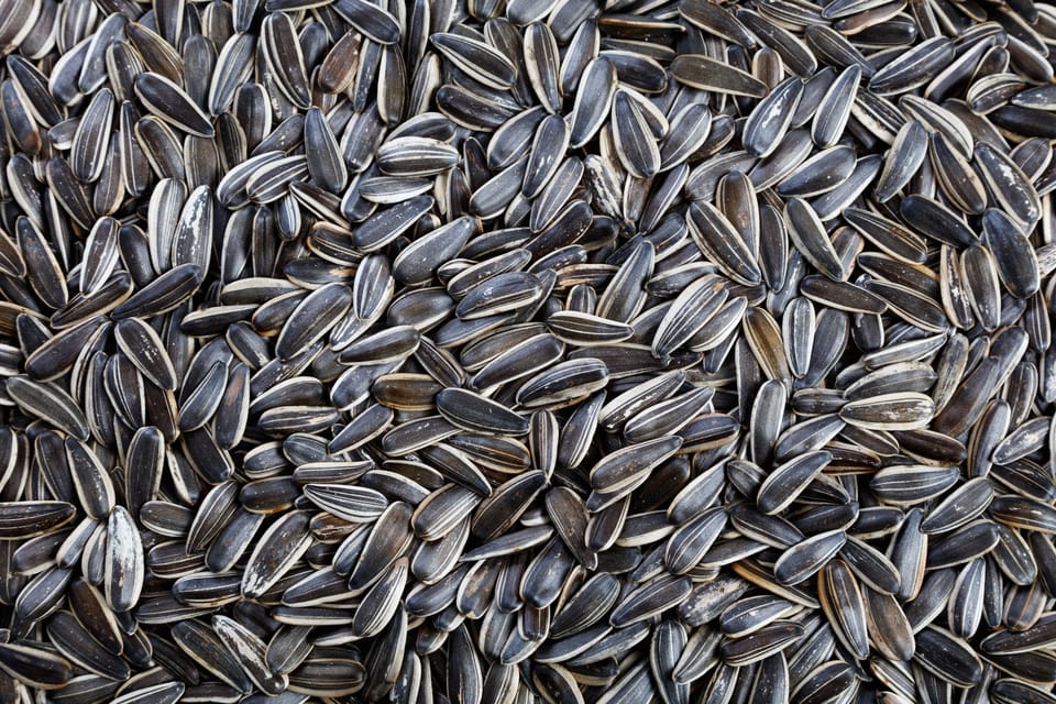 Four years of horrors which must never be normalised